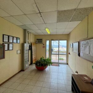 WhatsApp Image 2025-12-17 at 18.29.22