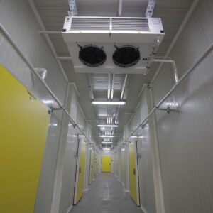 WhatsApp Image 2025-12-17 at 18.37.04