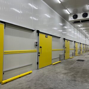 WhatsApp Image 2025-12-17 at 18.37.05 (1)