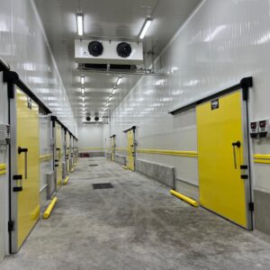 WhatsApp Image 2025-12-17 at 18.37.06