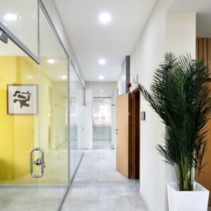 WhatsApp Image 2025-12-18 at 11.12.39 (1)